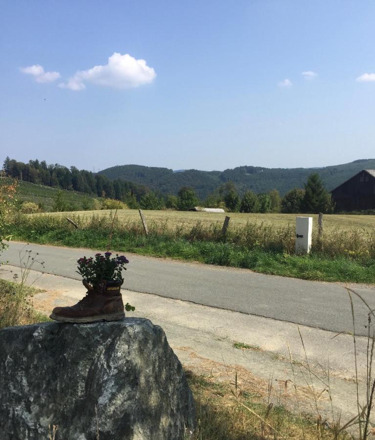 Apartmán Steigerhaus Sauerland Bestwig Exteriér fotografie