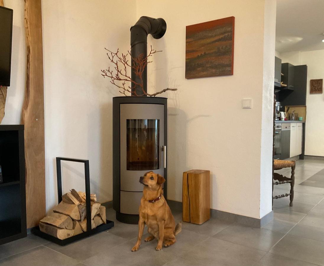 Apartmán Steigerhaus Sauerland Bestwig Exteriér fotografie